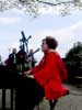 concert en plein air